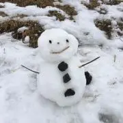 きゃべつ太郎