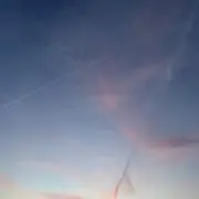 Sの画像