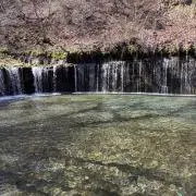 タッキーの画像