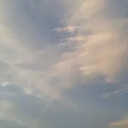 pan