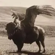 シゲ