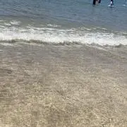 Nicolasの画像