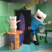 FIN