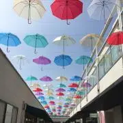 MATILDAの画像