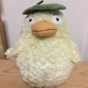 Image of イロハカエデ
