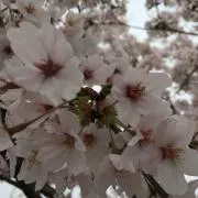 よっち