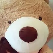 ちゃんの画像