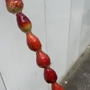 ぽむぽむ