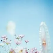 aoiの画像