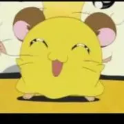 金平糖の画像