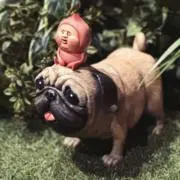 こびっと