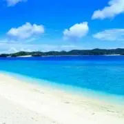 ビッグおまんじゅう 山崎宗介 - メルカリ
