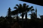 cocchina【プロフ必読】の画像