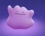 ア　コの画像