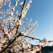 M&Rの画像