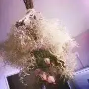 らびぃ プロフ必読(*´-`)の画像