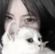 けちゃの画像