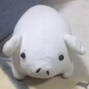 こぶ太郎の画像