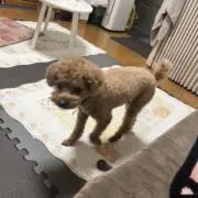 Naokiの画像