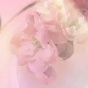 桜子