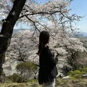 moguraの画像
