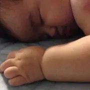 幸せ*ママの画像