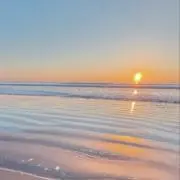 RINKAの画像
