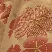 Shuriの画像