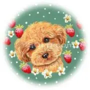 みえ   ☆*★プロフ必読★*☆の画像