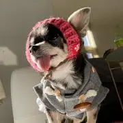 コリコリの画像