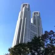 胡弓 おわら風の盆 四ツ皮 黒檀糸巻き - メルカリ