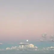 ベアの画像