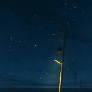 カニマグロの画像