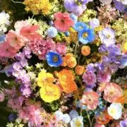 Smile❤︎プロフ必須の画像