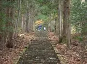 nakamura-farmの画像