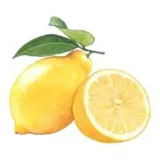 le-monの画像