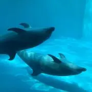 n‪‪ ‪‪❤︎‬‬の画像
