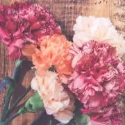 h.n ※プロフをご確認ください。の画像