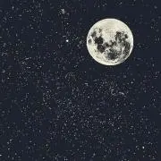 もふこの画像