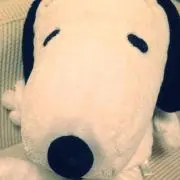 くりりん