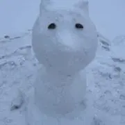 Akilopmmの画像