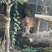 manの画像
