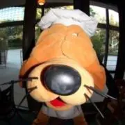 は._.