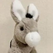 ロバのむーたんの画像