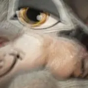 Aの画像