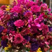 hoku-mashakoの画像