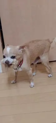 まみ