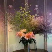 ウクレレの画像