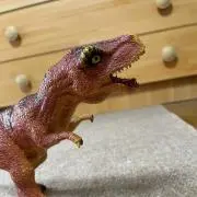 ⭐️あん⭐️の画像