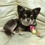 エレちゃんの画像